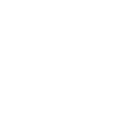 Inspection Icon